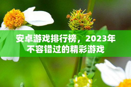 安卓游戏排行榜，2023年不容错过的精彩游戏