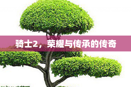 骑士2，荣耀与传承的传奇