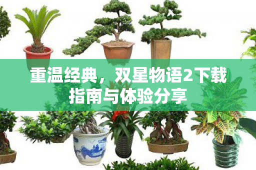 重温经典，双星物语2下载指南与体验分享