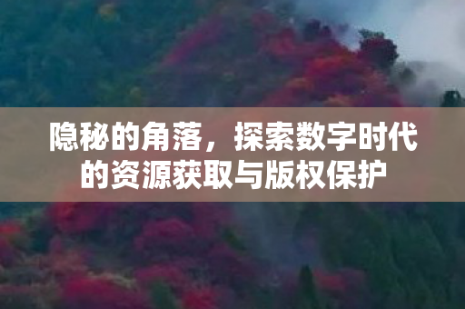隐秘的角落，探索数字时代的资源获取与版权保护