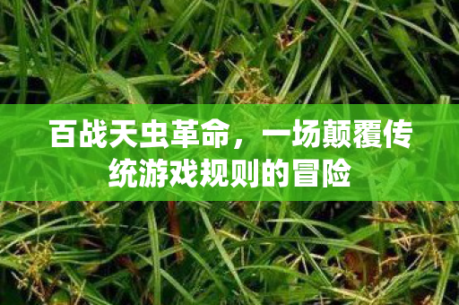 百战天虫革命，一场颠覆传统游戏规则的冒险