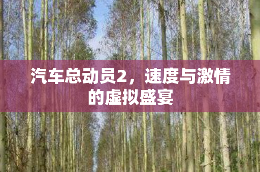 汽车总动员2,速度与激情的虚拟盛宴 汽车总动员2,速度与激情的虚拟盛宴