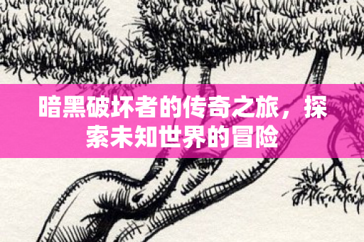 暗黑破坏者的传奇之旅，探索未知世界的冒险