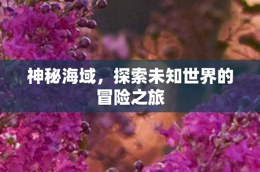 神秘海域,探索未知世界的冒险之旅 神秘海域,探索未知世界的冒险之旅