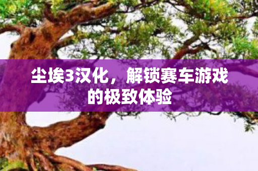 尘埃3汉化，解锁赛车游戏的极致体验