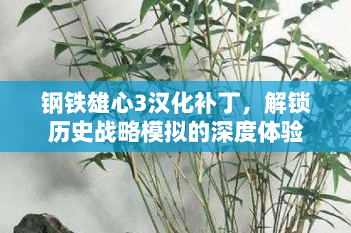 钢铁雄心3汉化补丁，解锁历史战略模拟的深度体验