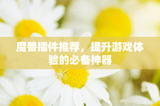 魔兽插件推荐，提升游戏体验的必备神器