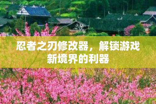 忍者之刃修改器,解锁游戏新境界的利器 忍者之刃修改器,解锁游戏新境界的利器
