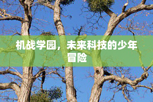 机战学园，未来科技的少年冒险