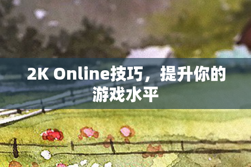2K Online技巧，提升你的游戏水平