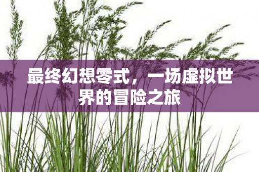 最终幻想零式，一场虚拟世界的冒险之旅