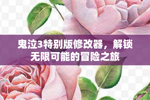 鬼泣3特别版修改器，解锁无限可能的冒险之旅