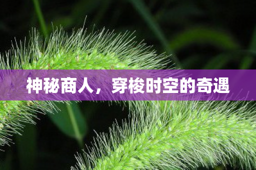 神秘商人，穿梭时空的奇遇