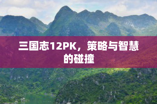 三国志12PK，策略与智慧的碰撞