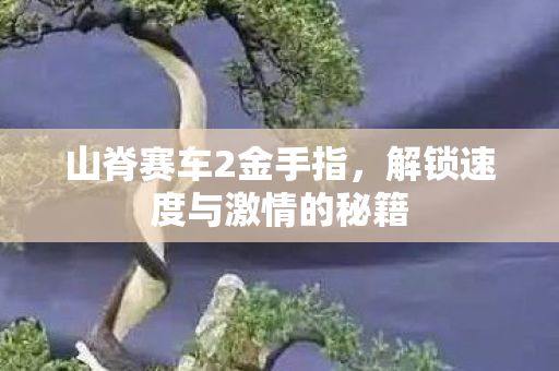 山脊赛车2金手指，解锁速度与激情的秘籍