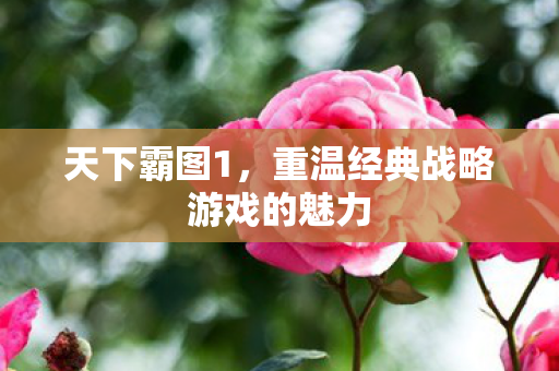 天下霸图1,重温经典战略游戏的魅力 天下霸图1,重温经典战略游戏的魅力