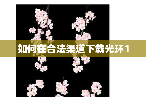 如何在合法渠道下载光环1