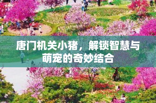 唐门机关小猪，解锁智慧与萌宠的奇妙结合