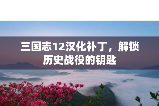 三国志12汉化补丁，解锁历史战役的钥匙