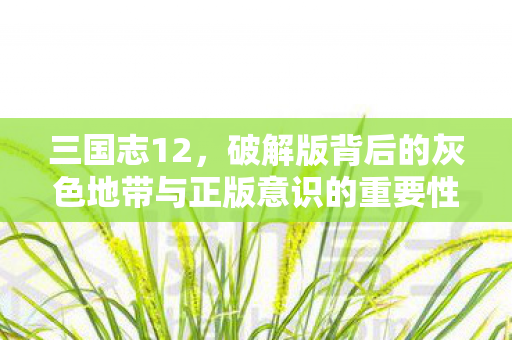 三国志12，破解版背后的灰色地带与正版意识的重要性
