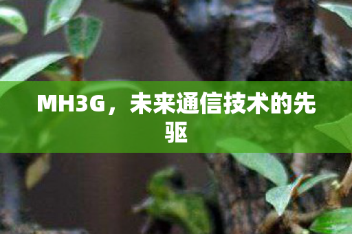 MH3G，未来通信技术的先驱