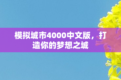 模拟城市4000中文版,打造你的梦想之城 模拟城市4000中文版,打造你的梦想之城
