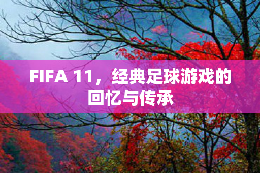 FIFA 11，经典足球游戏的回忆与传承