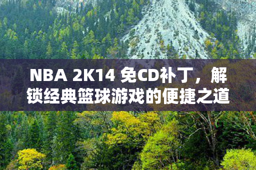 NBA 2K14 免CD补丁，解锁经典篮球游戏的便捷之道