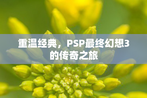 重温经典，PSP最终幻想3的传奇之旅