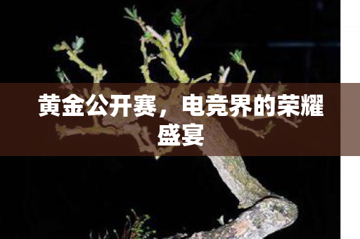 黄金公开赛，电竞界的荣耀盛宴