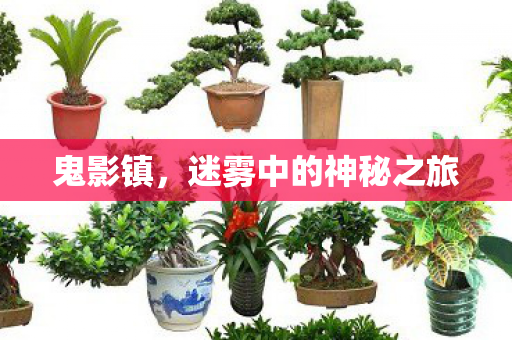 鬼影镇，迷雾中的神秘之旅