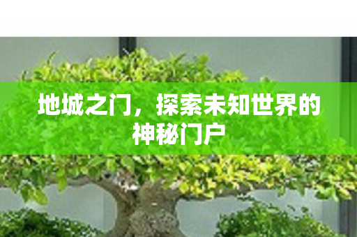 地城之门，探索未知世界的神秘门户