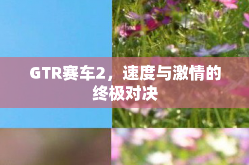 GTR赛车2，速度与激情的终极对决