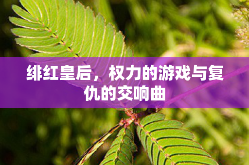 绯红皇后，权力的游戏与复仇的交响曲