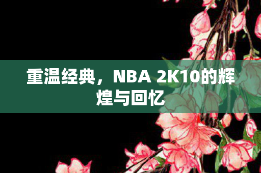 重温经典，NBA 2K10的辉煌与回忆