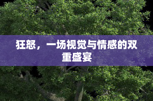 狂怒，一场视觉与情感的双重盛宴