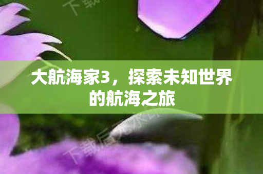 大航海家3，探索未知世界的航海之旅