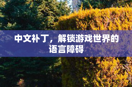 中文补丁，解锁游戏世界的语言障碍