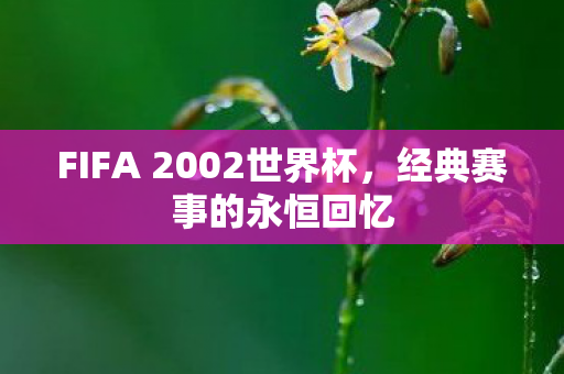FIFA 2002世界杯，经典赛事的永恒回忆