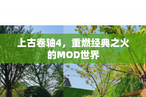 上古卷轴4,重燃经典之火的MOD世界 上古卷轴4,重燃经典之火的MOD世界
