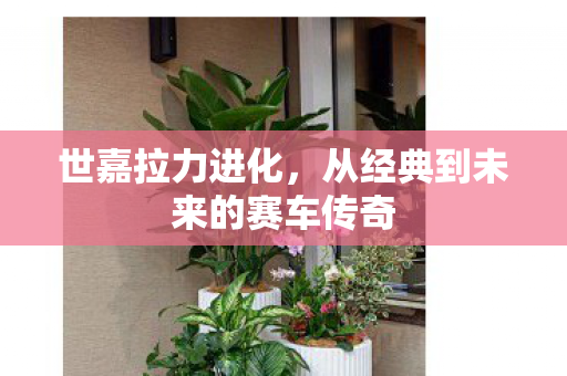 世嘉拉力进化，从经典到未来的赛车传奇