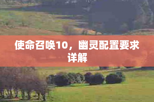 使命召唤10，幽灵配置要求详解