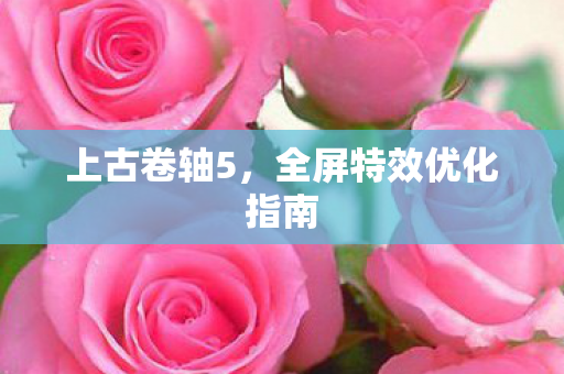 上古卷轴5，全屏特效优化指南