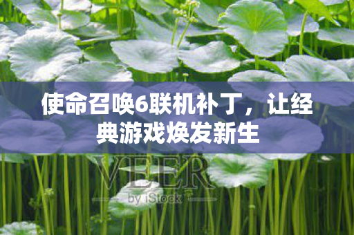 使命召唤6联机补丁，让经典游戏焕发新生