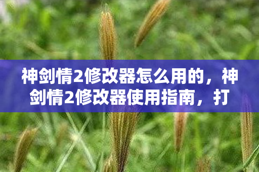 神剑情2修改器怎么用的，神剑情2修改器使用指南，打造你的专属游戏神器