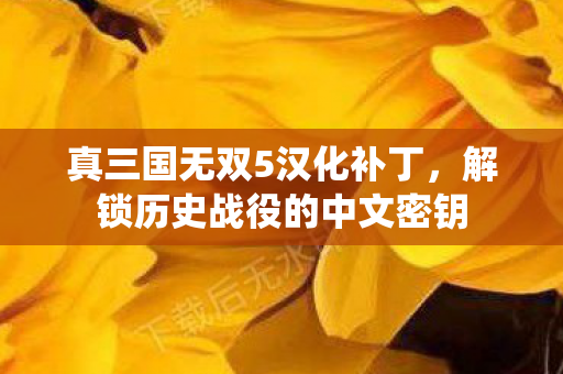 真三国无双5汉化补丁，解锁历史战役的中文密钥