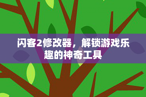 闪客2修改器，解锁游戏乐趣的神奇工具