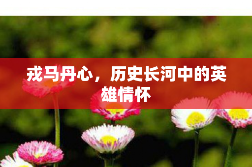 戎马丹心，历史长河中的英雄情怀