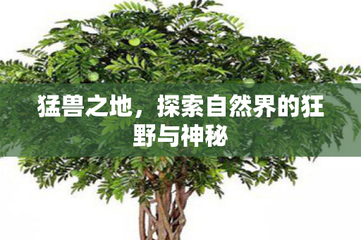 猛兽之地,探索自然界的狂野与神秘 猛兽之地,探索自然界的狂野与神秘