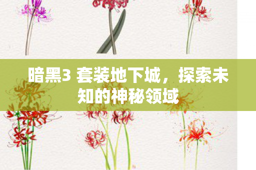 暗黑3 套装地下城，探索未知的神秘领域